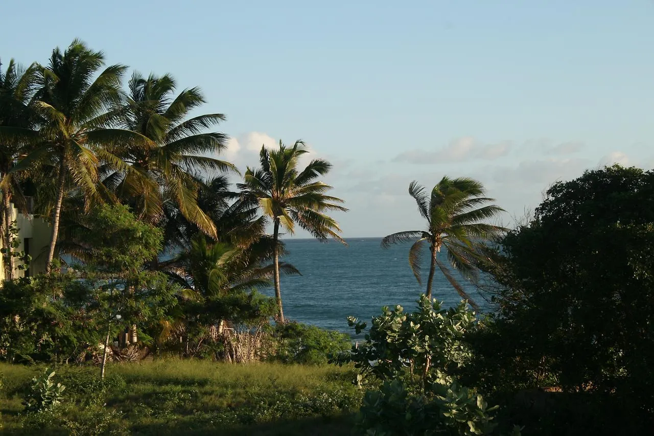 Shi Shed Africa Village Treasure Beach